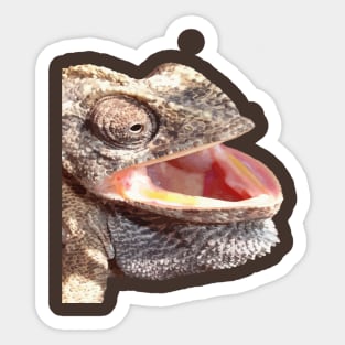 Geeky Chameleon Close Up Photograph Vector Cut Out Sticker